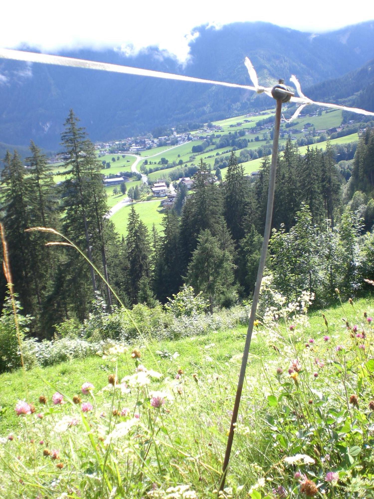 Gruppen Und Familienhof Falkenstein Hotel Krimml Buitenkant foto
