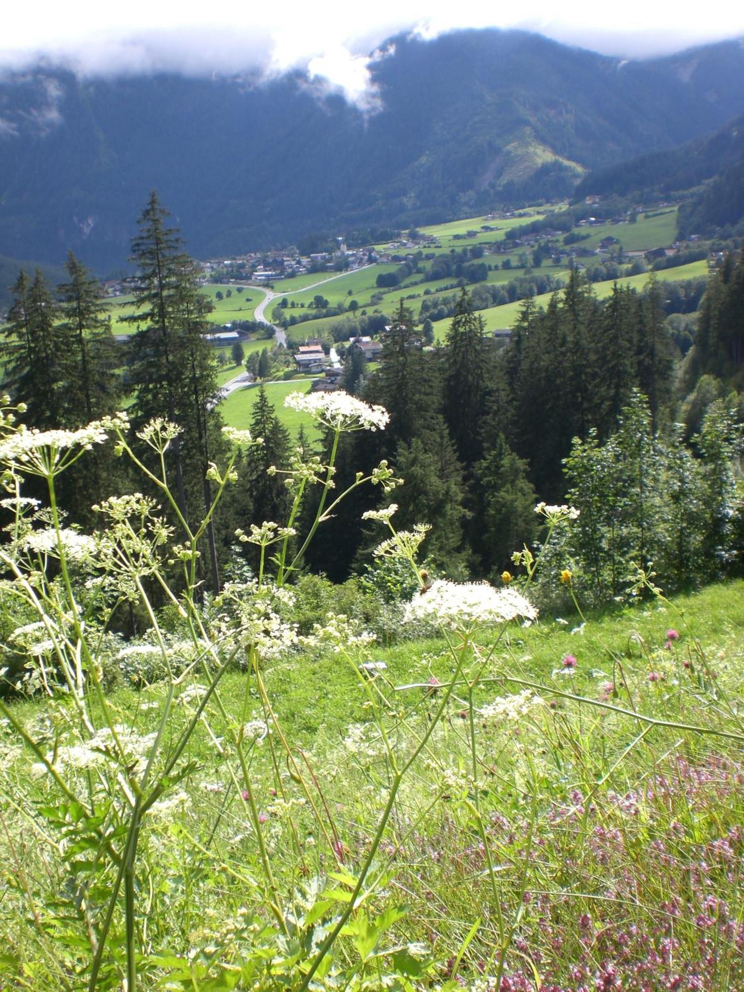 Gruppen Und Familienhof Falkenstein Hotel Krimml Buitenkant foto